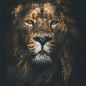 Meet your Posher, Andy